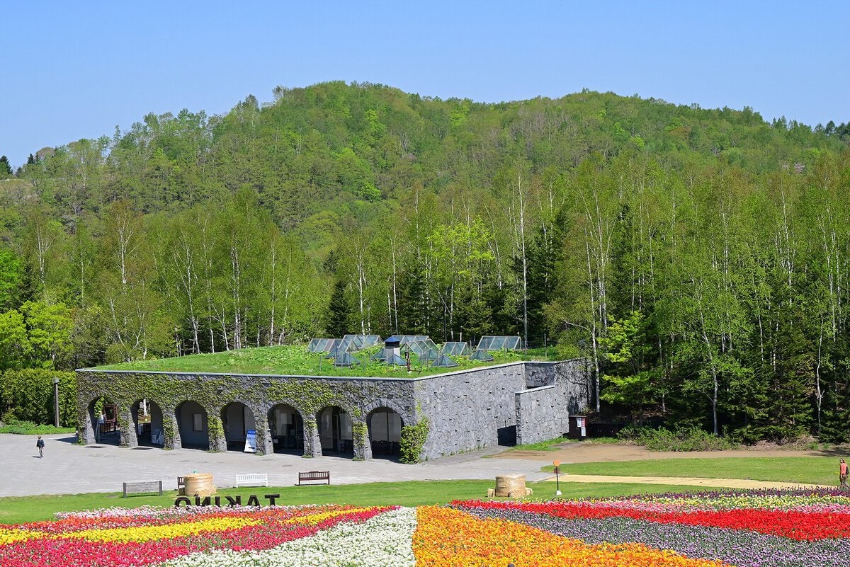 「チューリップ・すずらんフェスタ」（国営滝野すずらん丘陵公園）の様子。カントリーガーデン下段の虹の丘は虹の様に色の分かれたアーチを描く花畑です。