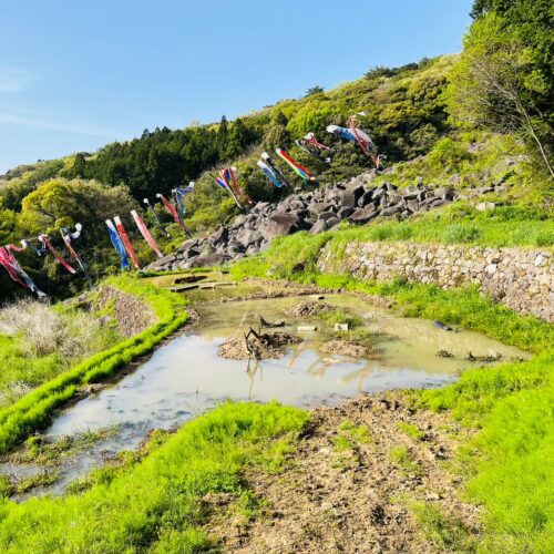 天然記念物万倉の大岩郷に鯉のぼりを泳がせている様子と手前の池はビオトープを作っている途中。万倉の大岩郷は岩の海とも呼ばれ、「岩の海に魚泳いでたら面白そうですよね」の一言から始まりました。ビオトープはなかなか水が溜まらず、地域の皆さんと試行錯誤しながら水が溜まるまでに約1年かかりました。