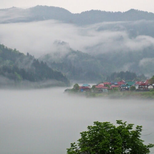 夏の川霧の中に浮かぶ大志集落はまるで水墨画のような幻想的な風景です。