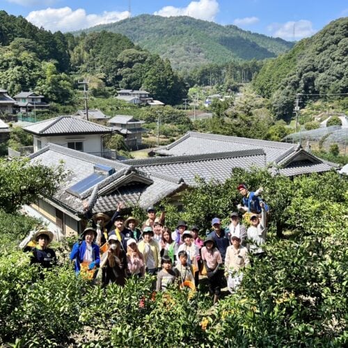 徳島県応援芸人の中山女子短期大学さんが取り組んでいる「トリキるプロジェクト」でのすだち収穫体験の様子