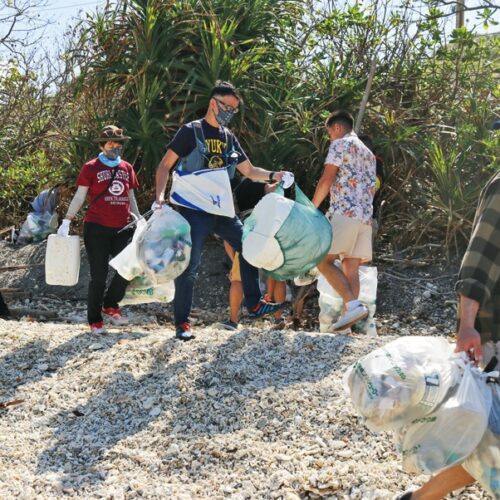 沖縄県恩納村で行われている砂浜をきれいに清掃するビーチクリーン活動