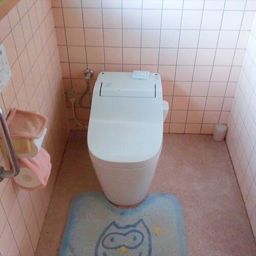 岡山県備前市の物件のトイレ。古民家ですが、トイレは水洗に補修ずみです