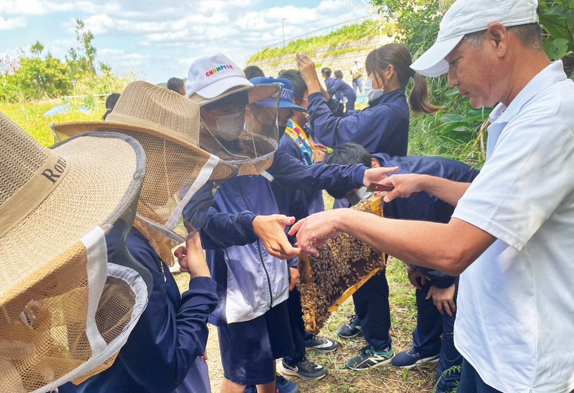沖縄県恩納村で行われている陸域の保全活動の一環「ハニー＆コーラルプロジェクト」