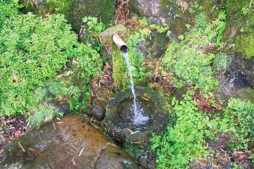 鳥取県倉吉市の関金町清水集落はは清流の里としても名高い。写真は湧水スポット「命の泉」