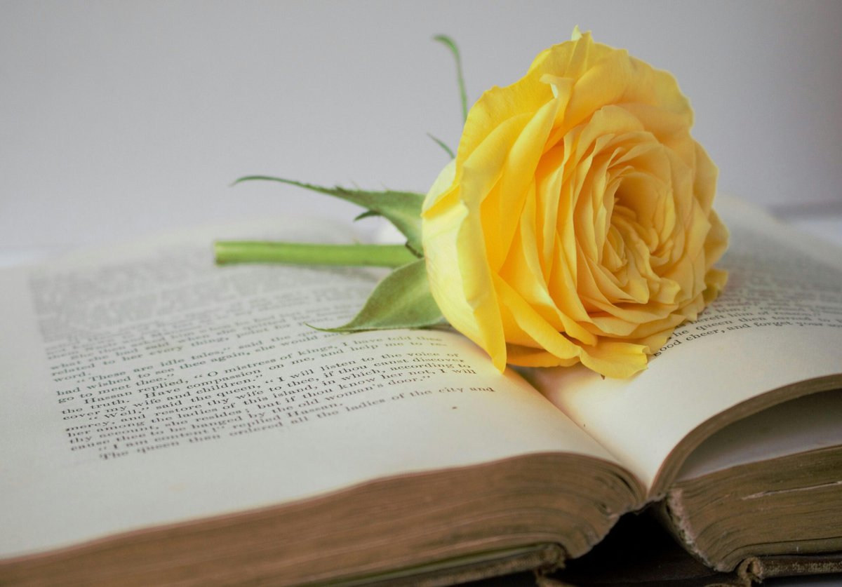 実は父の日には、“母の日＝赤いカーネーション”のようにシンボルとなる花があるんです。それは、黄色いバラです。