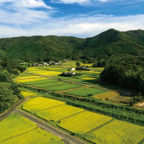 市北東部に連なる弓張山地の麓には里山風景が見られる／愛知県豊橋市