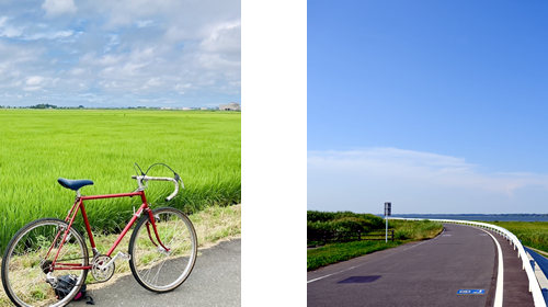 茨城県稲敷市のつくば霞ヵ浦りんりんロードは、茨城県が誇る筑波山や霞ヶ浦を中心とした全長約180kmのサイクリングコースです。廃線となった筑波鉄道の跡地を自転車道として整備したコースで、休憩所も設置されており、筑波山や霞ヶ浦の美しい景観を楽しみながら、安全で快適に走行することができます。