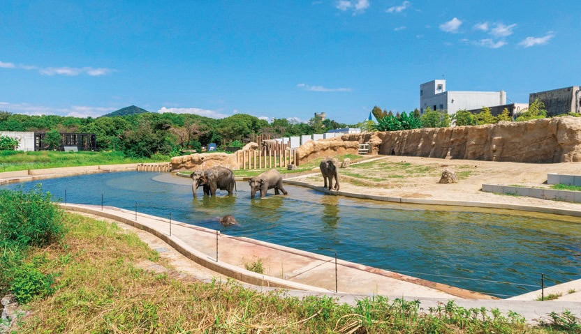 「のんほいパーク」は動物園、植物園、自然史博物館、遊園地が併設された総合公園／愛知県豊橋市