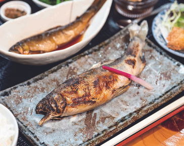 三重県大台町の清流・宮川で育った、淡白で香りが高い鮎が名物です。初夏に鮎漁が解禁されると、県内外から多くの釣り人が訪れ賑わいます。シーズン中は町内では鮎料理の店で新鮮な鮎が楽しめるほか、甘露煮など鮎の加工品もお土産として人気があります。