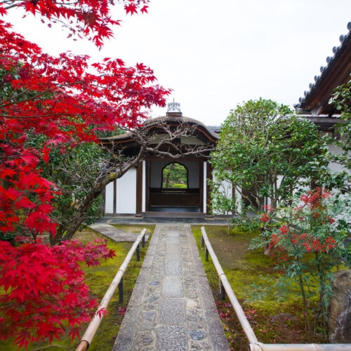 京都・大徳寺「興臨院」にある重要文化財の唐門。