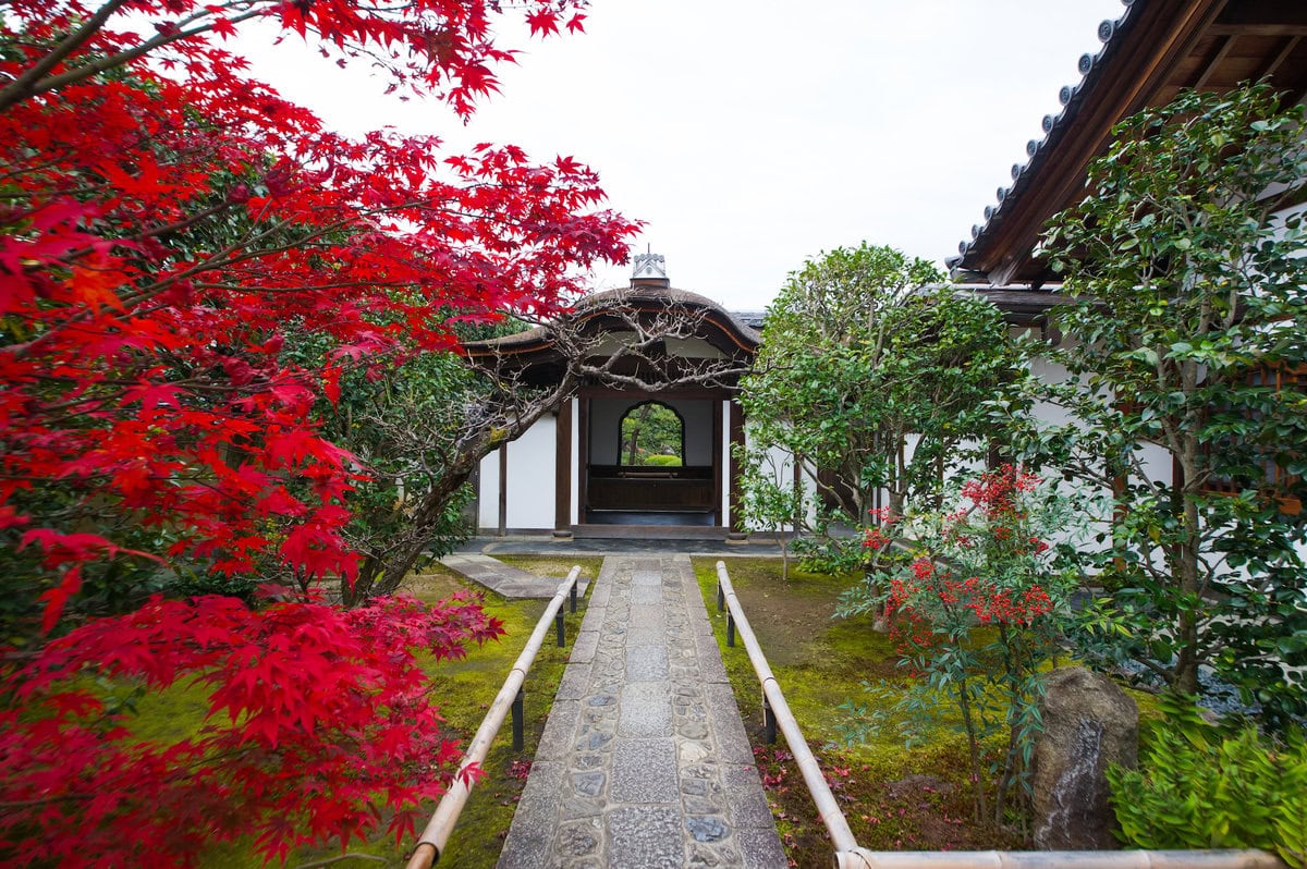 京都・大徳寺「興臨院」にある重要文化財の唐門。