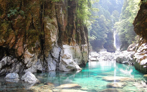 宮川の源流部である西の台高山脈を頂点に表情豊かな山々が連なる大台町は、登山の聖地です。大台ケ原から大杉谷へ至る日本三大峡谷「大杉谷登山道」は、日本三大峡谷のひとつ大杉谷のエメラルドグリーンの沢と雄大な滝を眺めながら歩く日本屈指の峡谷コースです。