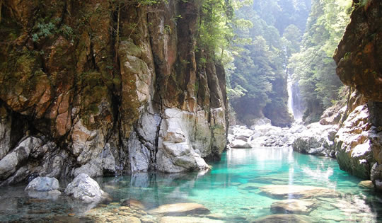 宮川の源流部である西の台高山脈を頂点に表情豊かな山々が連なる大台町は、登山の聖地です。大台ケ原から大杉谷へ至る日本三大峡谷「大杉谷登山道」は、日本三大峡谷のひとつ大杉谷のエメラルドグリーンの沢と雄大な滝を眺めながら歩く日本屈指の峡谷コースです。