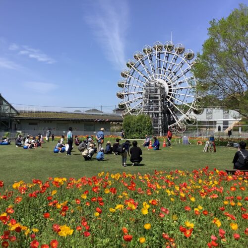 山口県柳井市のやまぐちフラワーランドは1年を通じて500品種、年間45万本、四季折々の花が楽しめる花と緑の庭園です。季節ごとの花が咲き誇り、心落ち着く和みの空間が広がります。子ども向けの遊具もあり、芝生でピクニックも楽しめることから親子連れに人気のスポットです。寄せ植え体験など、毎月さまざまなイベントも開催されています。