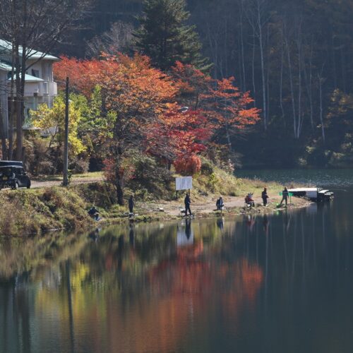 長野県相木村の立岩湖です。春のソメイヨシノ、秋の紅葉など季節ごとに色づく自然が湖面に映し出される美しい湖で、フィッシングスポットとして知られ、絶景の中で釣りを楽しもうと多くの釣り人が訪れます。冬にはワカサギなどの氷上の穴釣りが体験できます。