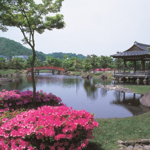 福井県越前市にある「紫式部公園」は、平安時代の貴族の住居を模して池や築山を配置した、日本唯一の寝殿造りの庭園です。