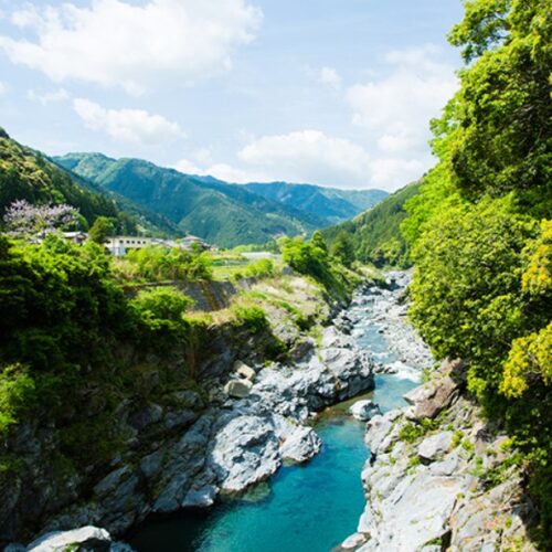 大台町を横断するように流れる「宮川」は、国土交通省の一級河川水質調査において、過去 11 回日本一に選ばれており、川遊びや鮎釣り客など、多くの人で賑わう清流です。