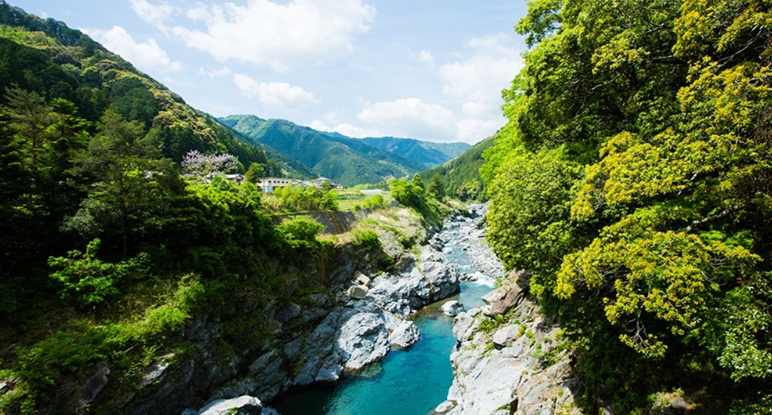 大台町を横断するように流れる「宮川」は、国土交通省の一級河川水質調査において、過去 11 回日本一に選ばれており、川遊びや鮎釣り客など、多くの人で賑わう清流です。