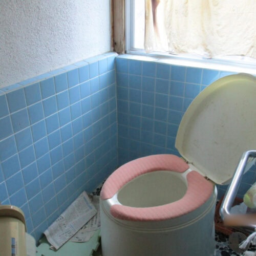 兵庫県佐用町の物件の洋式の汲み取り式トイレです。トイレは建物の外から入って使えるものも含めて3つ備わっています。外の洗面台含めて、使い勝手のよいものにリフォームするのがおすすめです。