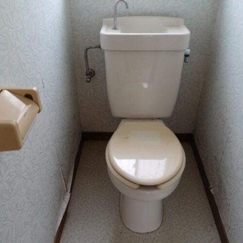 茨城県稲敷市の物件のトイレは水洗の洋式トイレです。浄化槽の改修が必要です。