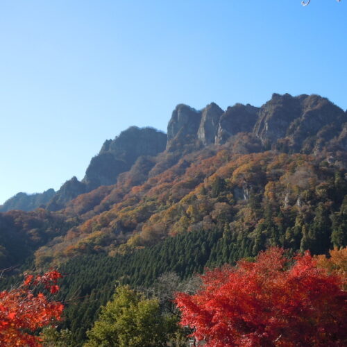 　日本三大奇勝の妙義山は、新緑や紅葉など四季折々の景観を楽しめる富岡市のシンボルです。特に、紅葉シーズンの岩峰と紅葉のコントラストは圧巻です。