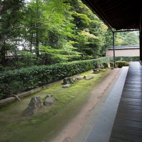 京都・大徳寺「真珠庵」の「七五三の庭」。