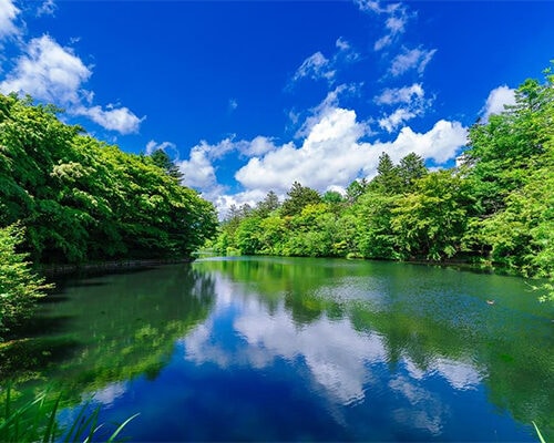 明治時代に外国人宣教師によって開拓されて以降、日本を代表する避暑地となった軽井沢（長野県）が1位でした。