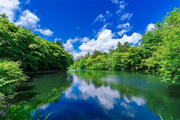 明治時代に外国人宣教師により、避暑地と開拓されて以降、日本を代表する避暑地となった軽井沢が1位でした。