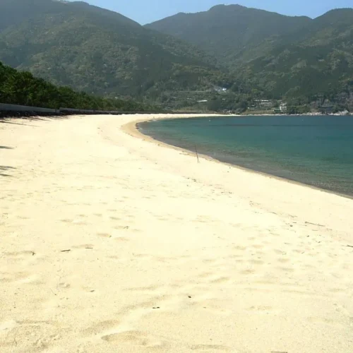 鹿児島県肝付町の内之浦海岸は、北方（きたかた）地区に位置する美しい砂浜と青松の松林が特徴的な海岸です。小道を通り松林を抜けると、まるでリゾート地のような白い砂浜と青い海が広がります。