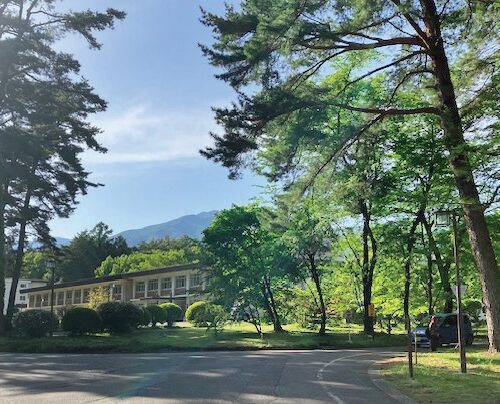 長野県南箕輪村には保育園から大学院まである。写真は信州大学農学部の並木道