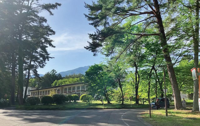 長野県南箕輪村には保育園から大学院まである。写真は信州大学農学部の並木道