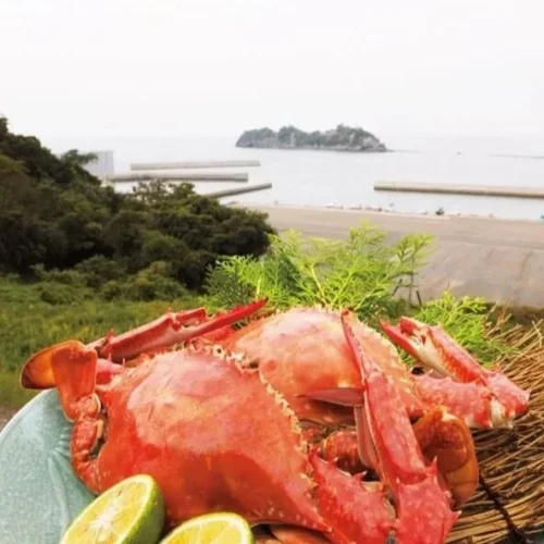 大分県豊後高田市の、周防灘を回遊香々地で水揚げされる大型のワタリガニは「岬ガザミ」と呼ばれていて、その味は「日本一おいしい」とも言われています。