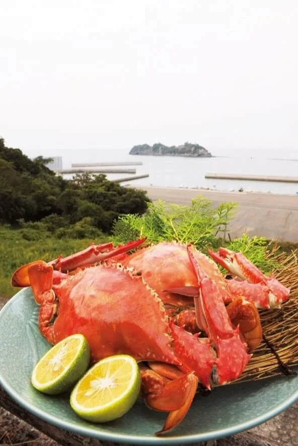 大分県豊後高田市の、周防灘を回遊香々地で水揚げされる大型のワタリガニは「岬ガザミ」と呼ばれていて、その味は「日本一おいしい」とも言われています。