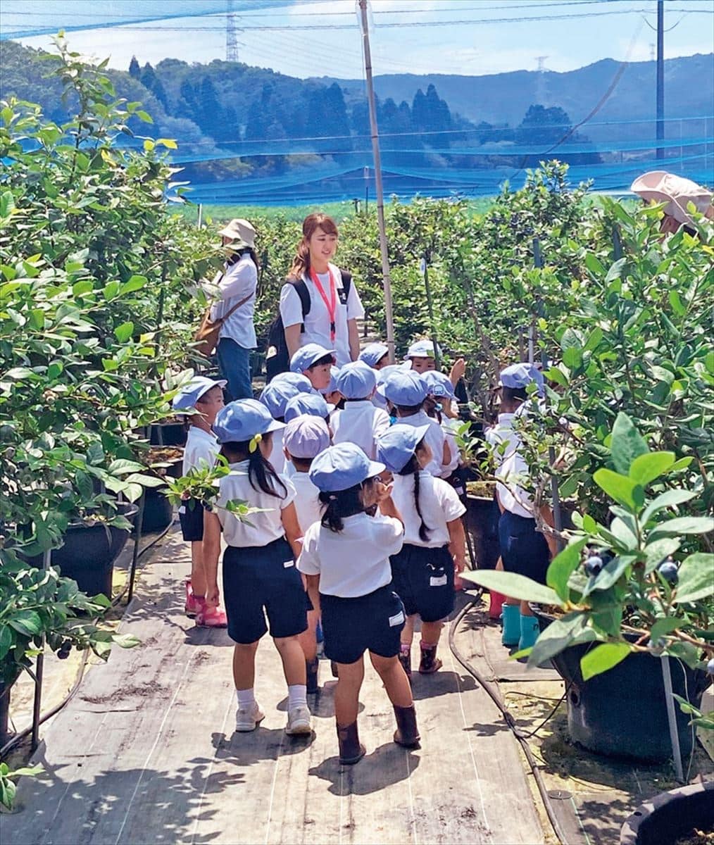 愛知県岡崎市のブルーベリーファームおかざき。市内の幼稚園の子どもの見学を受け入れている