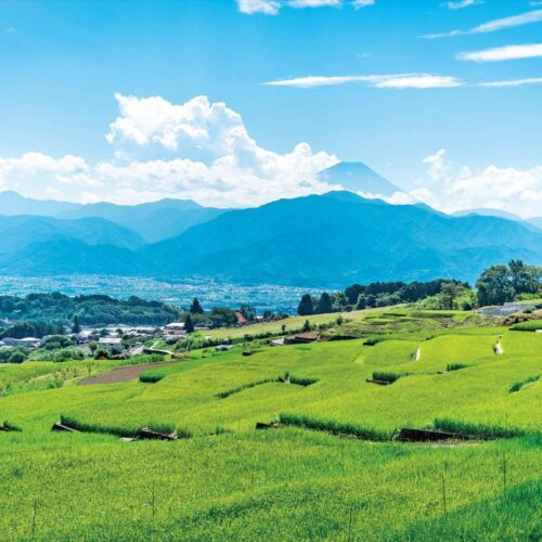 山梨県南アルプス市の「中野の棚田」。ここからの富士山は絶景