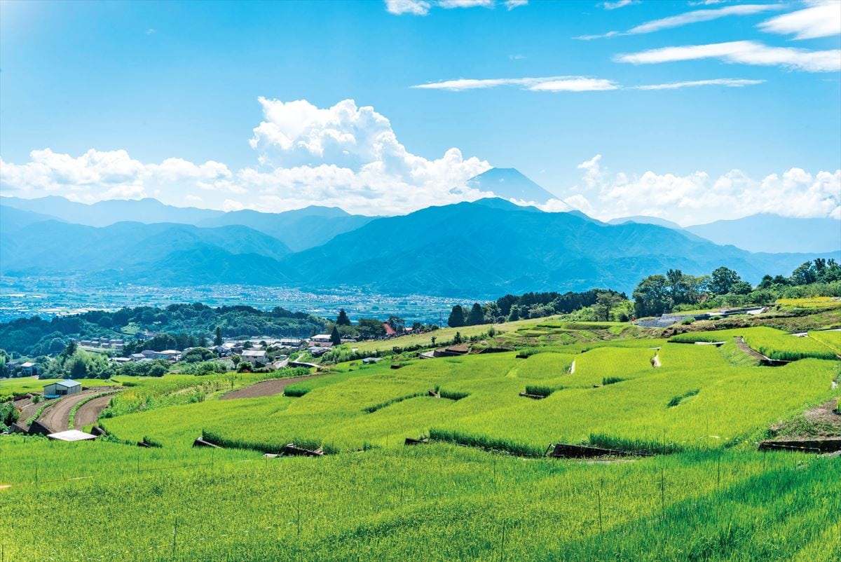 山梨県南アルプス市の「中野の棚田」。ここからの富士山は絶景