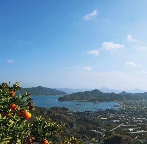 愛媛県松山市の忽那諸島。中島にある泰ノ山からの景色