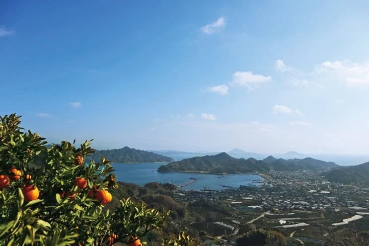 愛媛県松山市の忽那諸島。中島にある泰ノ山からの景色