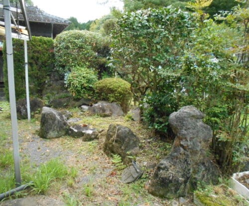 宮崎県えびの市の物件の庭には、椿・ツツジ・金木犀が植えられています。季節ごとの彩りを楽しむことができます。