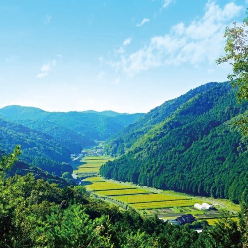 愛知県岡崎市ののどかな風景