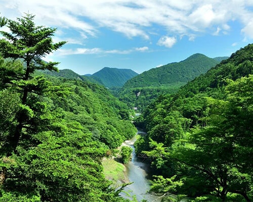 東京からもアクセスしやすく、日帰り旅行も可能な栃木県の那須塩原が3位になりました。