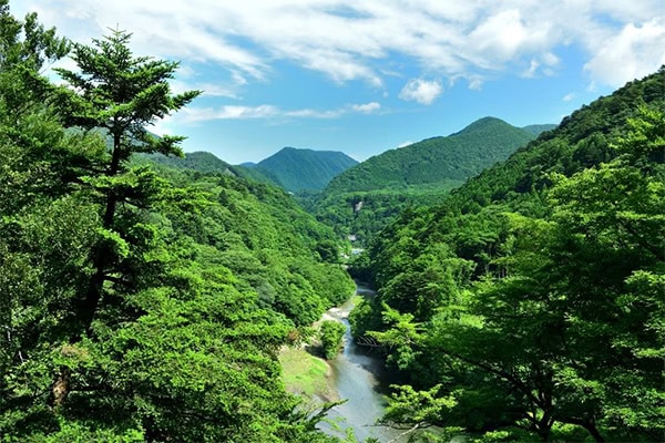 東京からの立地もいいので、日帰り旅行も可能な那須塩原が3位になりました。