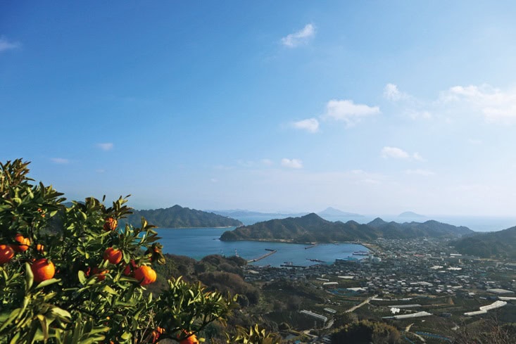 愛媛県松山市、中島の泰ノ山からの風景