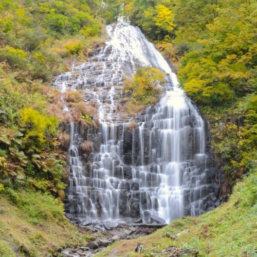 秋田県由利本荘市の檜山滝は、沢内沢川上流部に位置する落差約50mの滝です。噴火によって流れ出したマグマが冷えて固まる過程で作り出された柱状の割れ目「柱状節理」の景観が堪能できます。柱状節理の黒々とした岩肌を、白水が末広がりになって落ちる優美な姿を見ようと多くの観光客が訪れます。