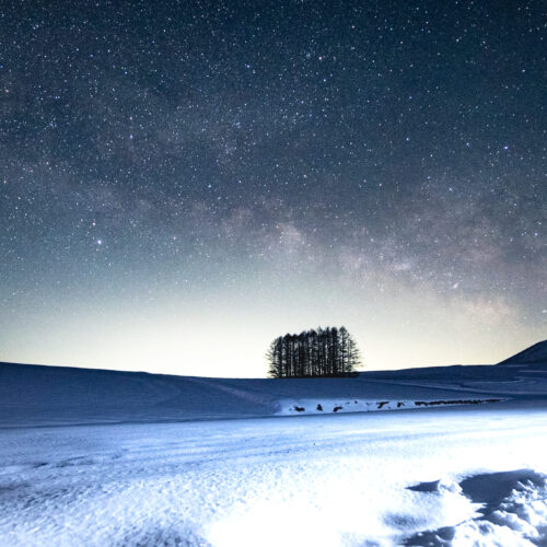 空一面に輝く星空も、嬬恋村の魅力のひとつです。写真はカラマツの丘。見渡す限りのキャベツ畑にカラマツの木々がたたずむ、フォトジェニックなスポットです。