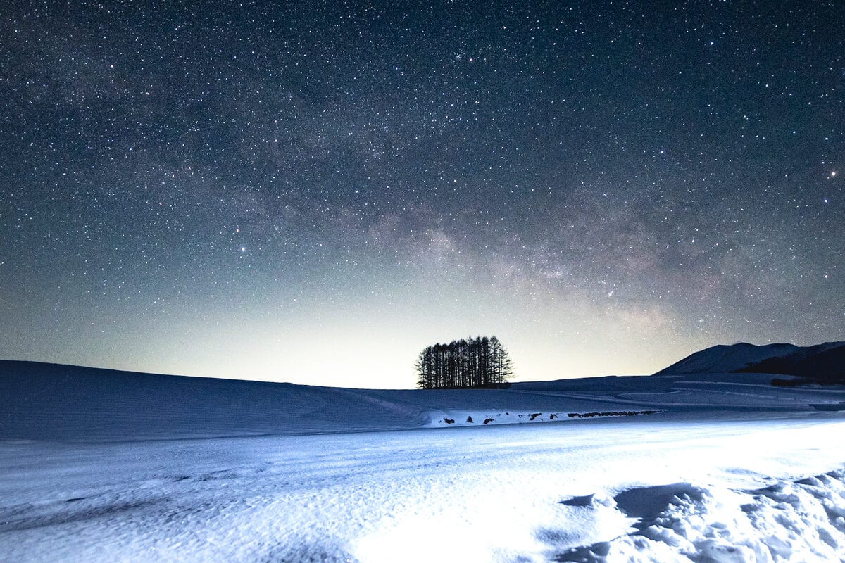 空一面に輝く星空も、嬬恋村の魅力のひとつです。写真はカラマツの丘。見渡す限りのキャベツ畑にカラマツの木々がたたずむ、フォトジェニックなスポットです。