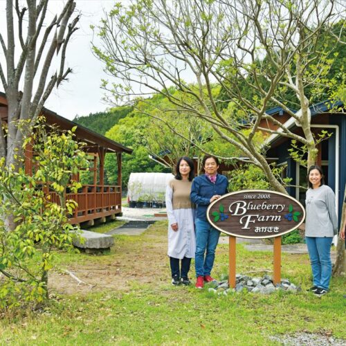 愛知県岡崎市のブルーベリーファームおかざき