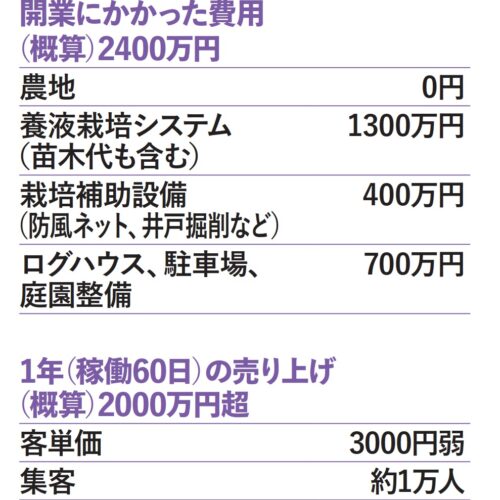 愛知県岡崎市のブルーベリーファームおかざきの開業資金と売り上げ