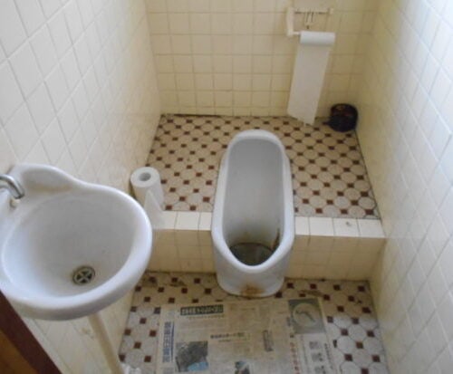 宮崎県えびの市の物件は和式の汲取り式トイレです。洋式の簡易水洗にリフォームするのがよいでしょう。