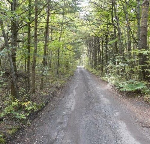 群前群馬県嬬恋村の物件は、山林の中の静かな道沿いにあります。